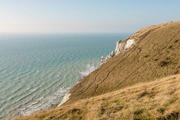 The dramatic coastline where you can discover miles of beautiful walks. This is Beachy Head with the lighthouse in the distance.