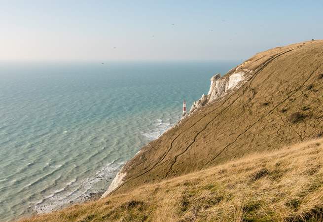 The dramatic coastline where you can discover miles of beautiful walks. This is Beachy Head with the lighthouse in the distance.
