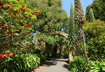 Ventnor Botanic Gardens are worth a visit throughout the seasons.