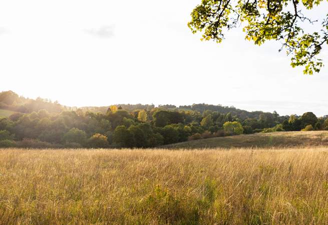 Enjoy a peaceful evening stroll in the gorgeous surrounding countryside.