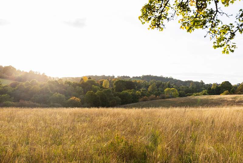 Enjoy a peaceful evening stroll in the gorgeous surrounding countryside.