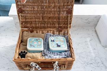 Your well-loved four-legged friend is welcome.