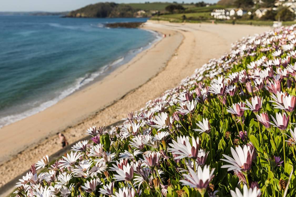 Gorgeous Gylly beach, just two minutes from your doorstep.