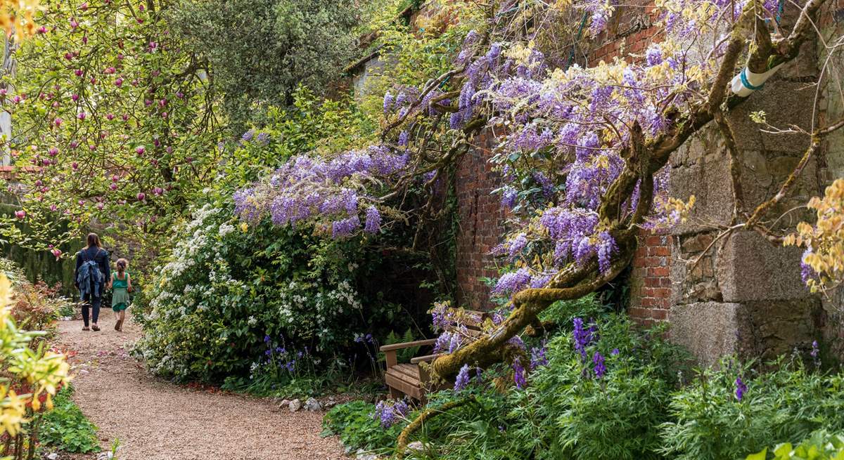 Magical moments at the idyllic Enys Gardens.