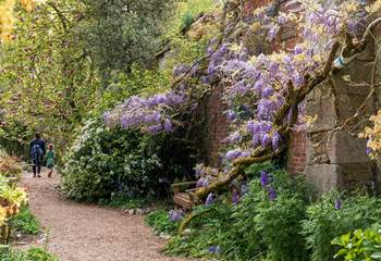 Magical moments at the idyllic Enys Gardens.