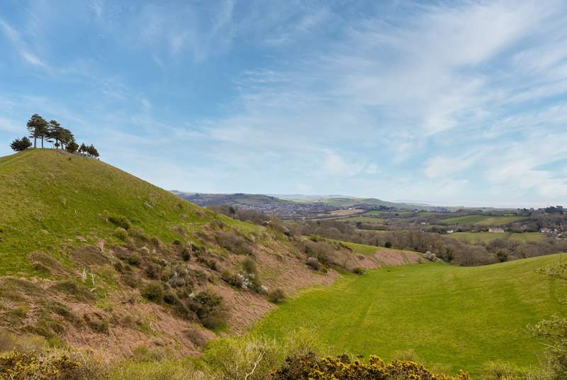 If you are feeling energetic, walk to the top of Colmer's Hill on the Symondsbury Estate - you'll be rewarded with amazing views.