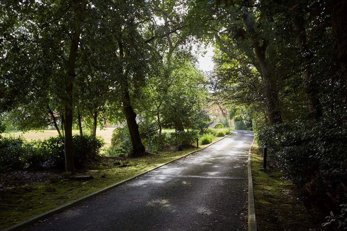 The tree-lined drive leads to Springfield Court.