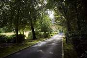 The tree-lined drive leads to Springfield Court.