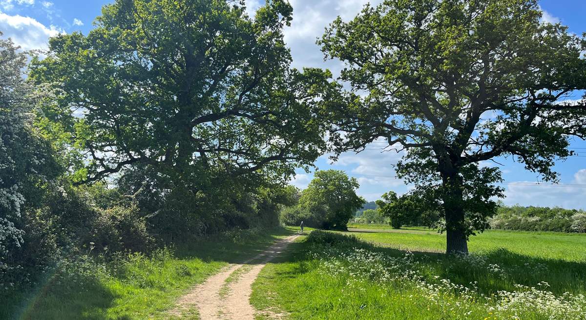 Enjoy the many beautiful walks in the Cotswold countryside.