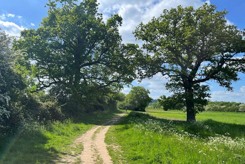 Enjoy the many beautiful walks in the Cotswold countryside.