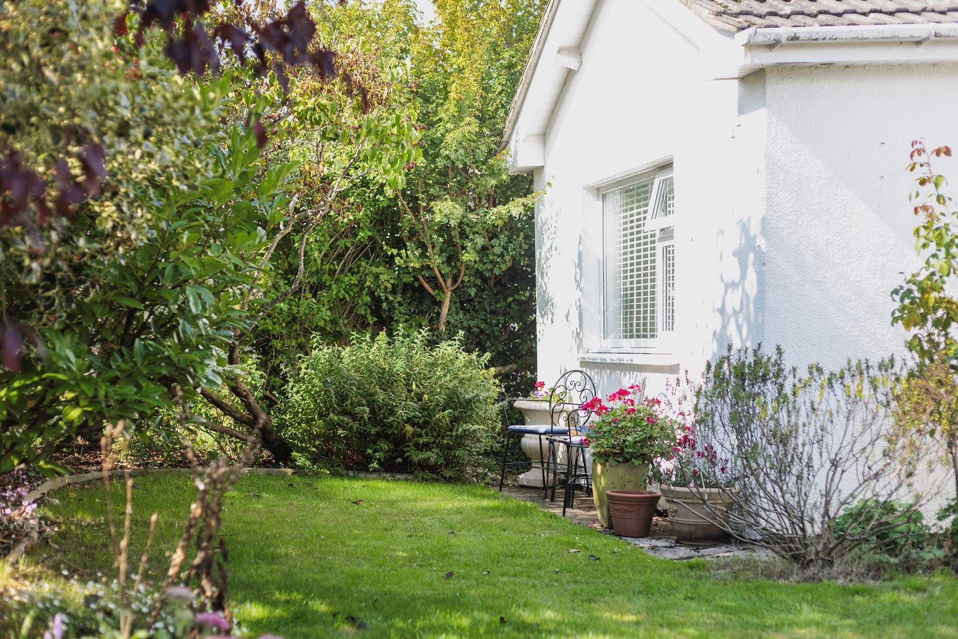 The delightful garden.