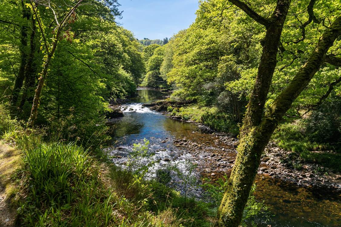 Dartmoor National Park is perfect for exploring.