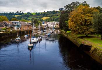 Totnes is rather lovely and is right on your doorstep. 