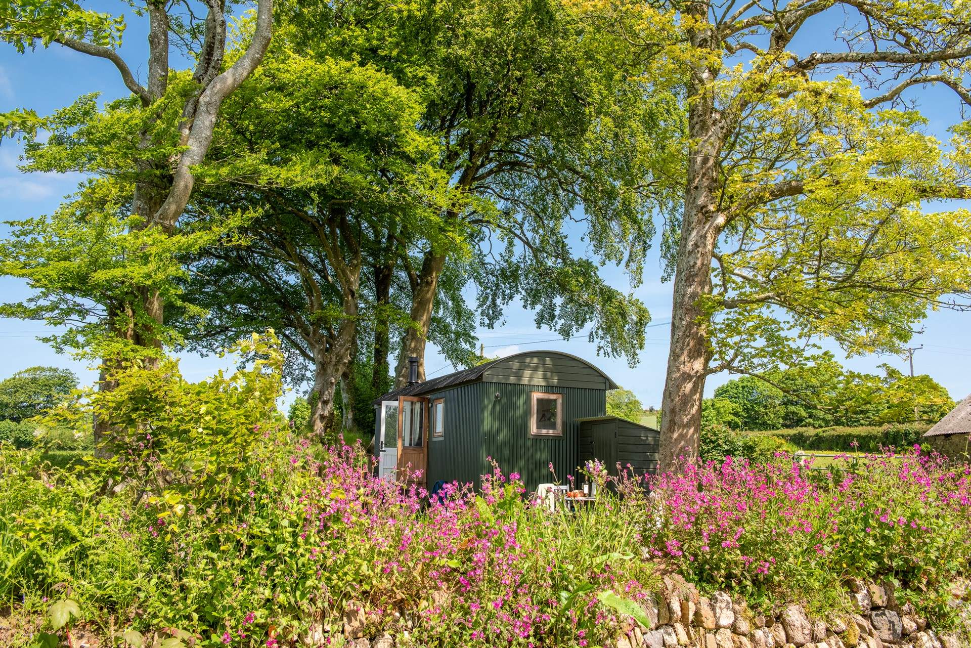 Little Lesquite... Quietly nestled beneath the trees.
