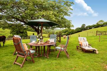 A wonderful spot to enjoy meals in the best of the Cornish sunshine.