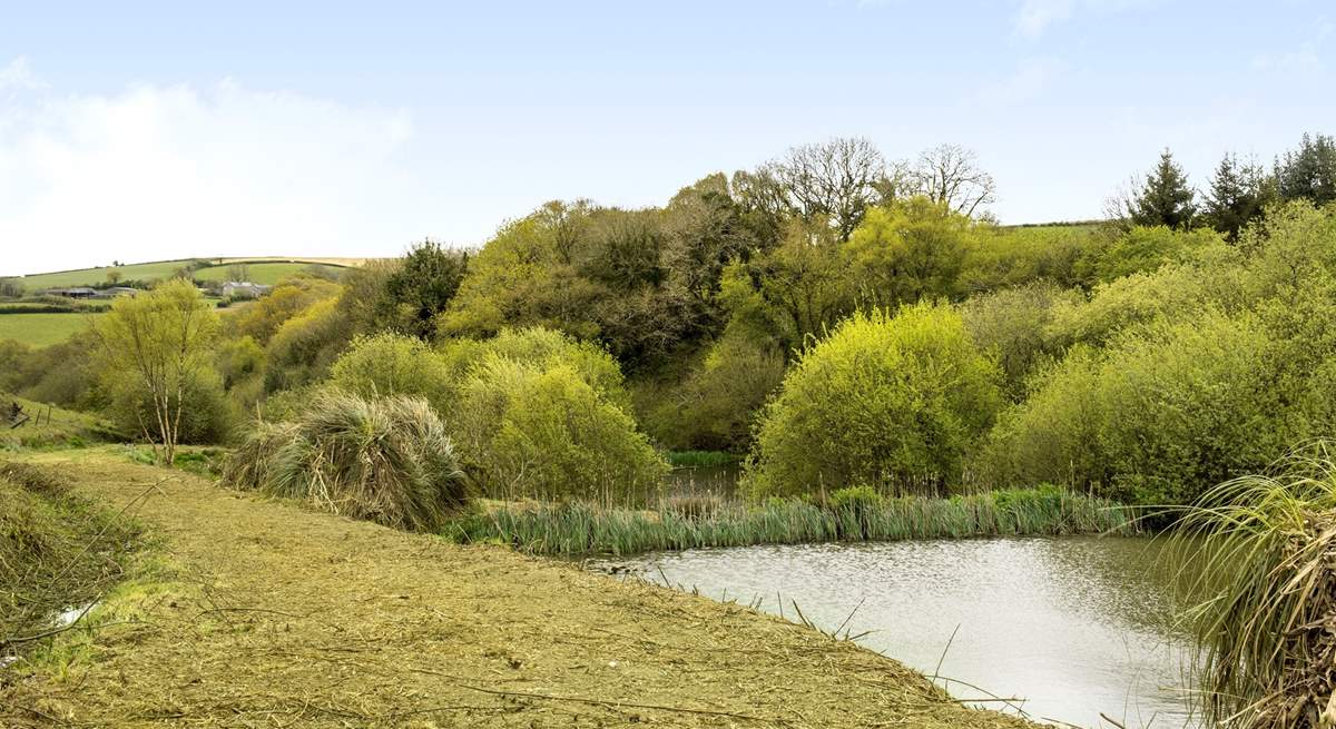 Take an evening stroll down to the lakes (they are separate and away from the main gardens) and for the fishermen amongst you don't forget your rods.