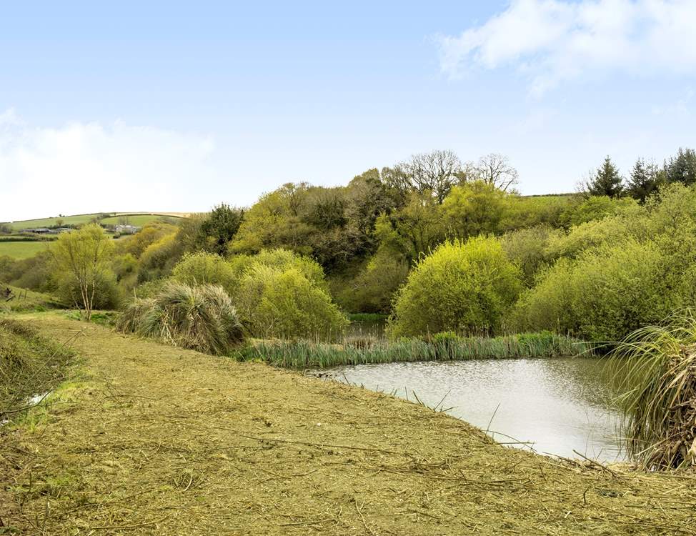 Take an evening stroll down to the lakes (they are separate and away from the main gardens) and for the fishermen amongst you don't forget your rods.