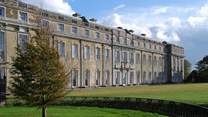 Visit Petworth House, Gardens and Deer Park.