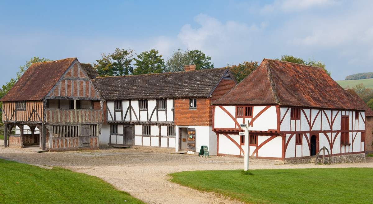 Visit The Weald and Downland Living Museum.