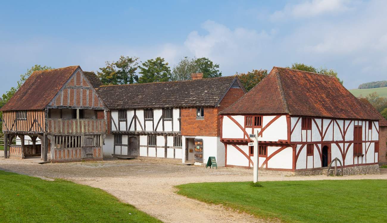Visit The Weald and Downland Living Museum.