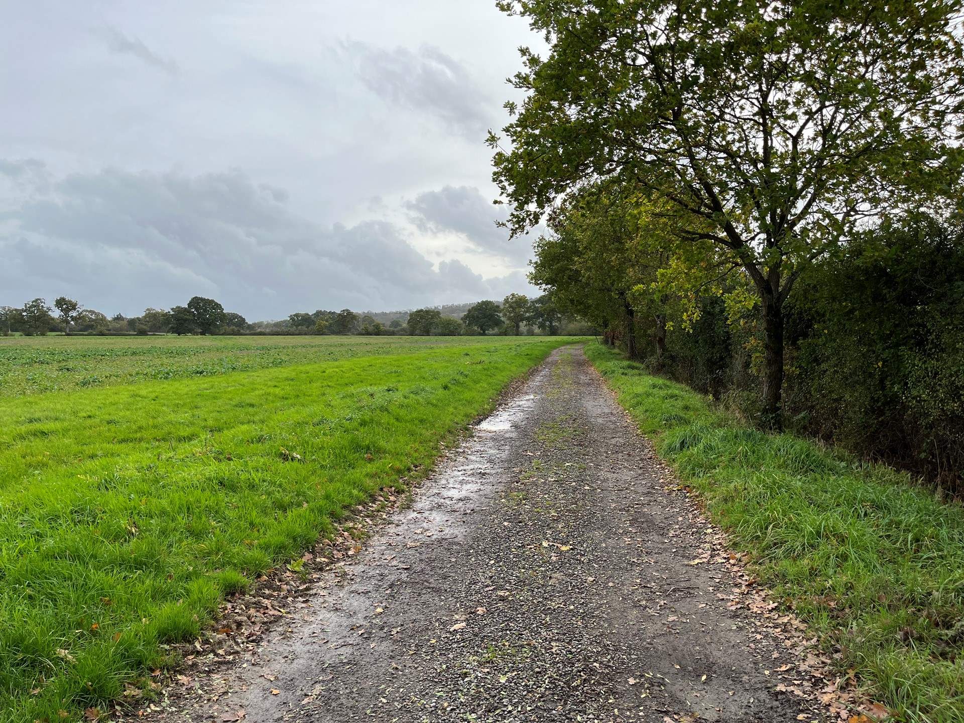 The long stone driveway to the cottage with views of the surrounding farmland.