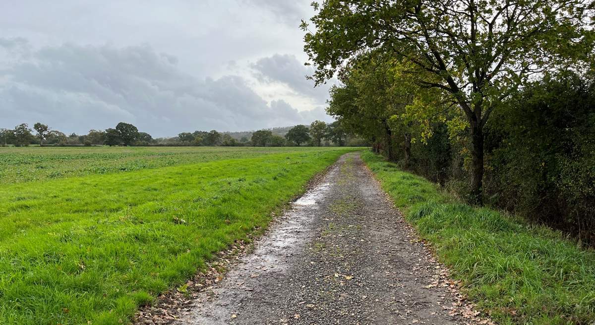 The long stone driveway to the cottage with views of the surrounding farmland.