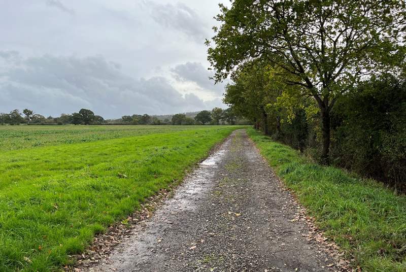 The long stone driveway to the cottage with views of the surrounding farmland.