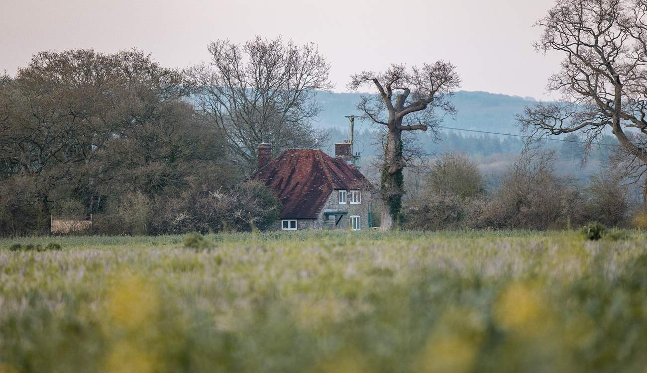 Amidst beautiful countryside.