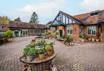 Visit the Cowdray Farm Shop and Cafe.