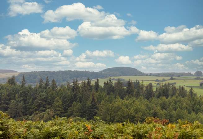 The North York moors are perfect for walking, hiking and cycling. 