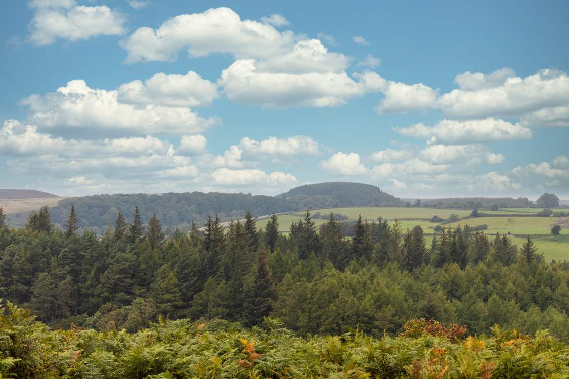 The North York moors are perfect for walking, hiking and cycling.