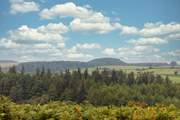 The North York moors are perfect for walking, hiking and cycling.