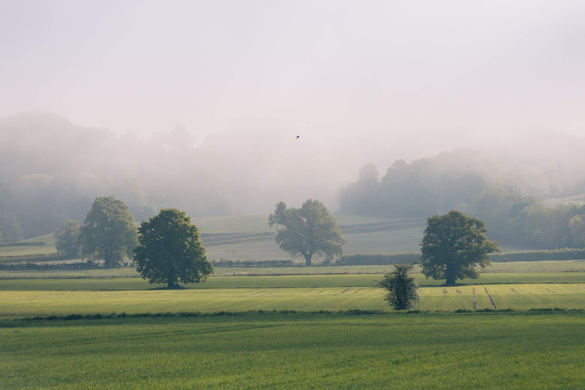 The vale of York shrouded in early morning mist.