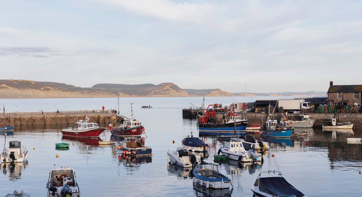 Boats in the harbour.