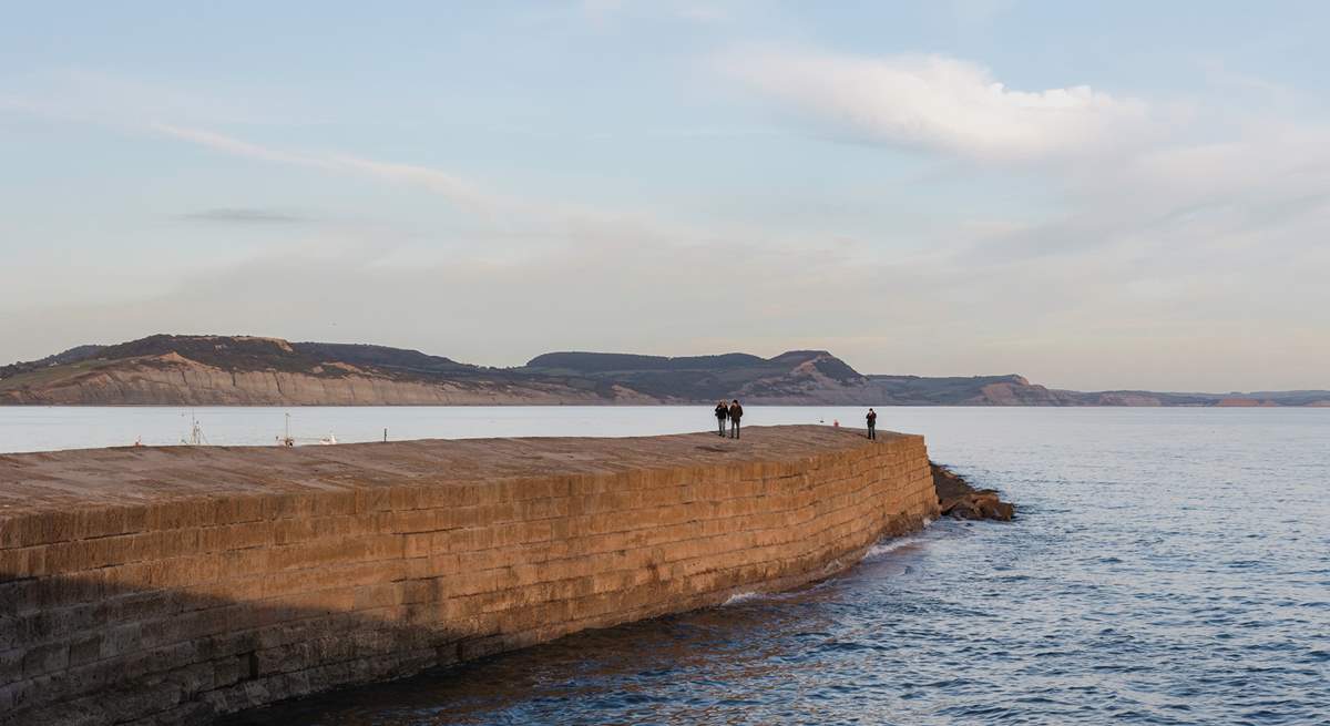 Take a walk along the Cobb to get the best views in town!