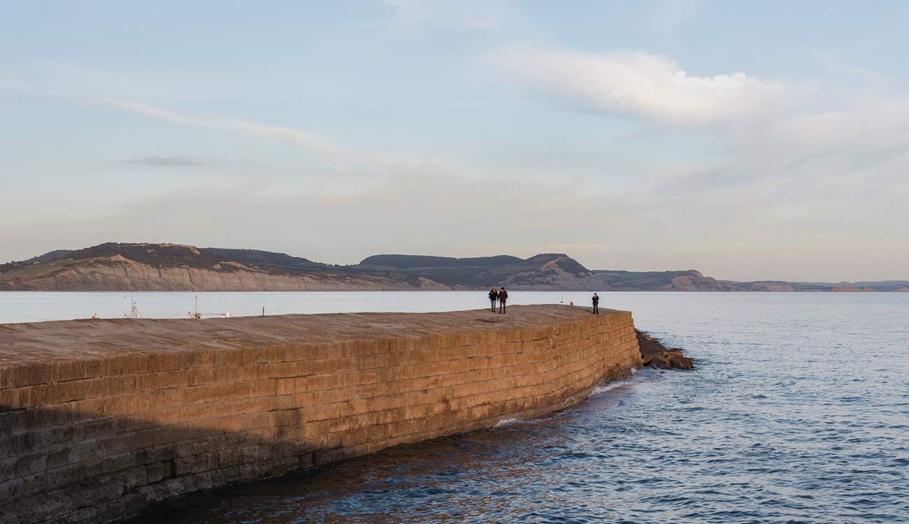 Take a walk along the Cobb to get the best views in town!