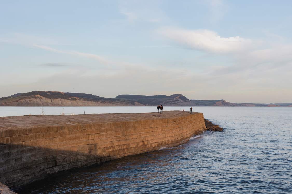 Take a walk along the Cobb to get the best views in town!