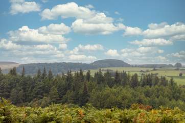The North York moors are perfect for walking, hiking and cycling. Follow in the footsteps of the Tour De Yorkshire.