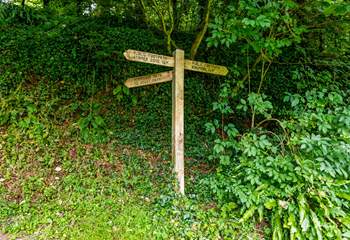 Step out of Lower Manor Farm and choose a footpath to follow.