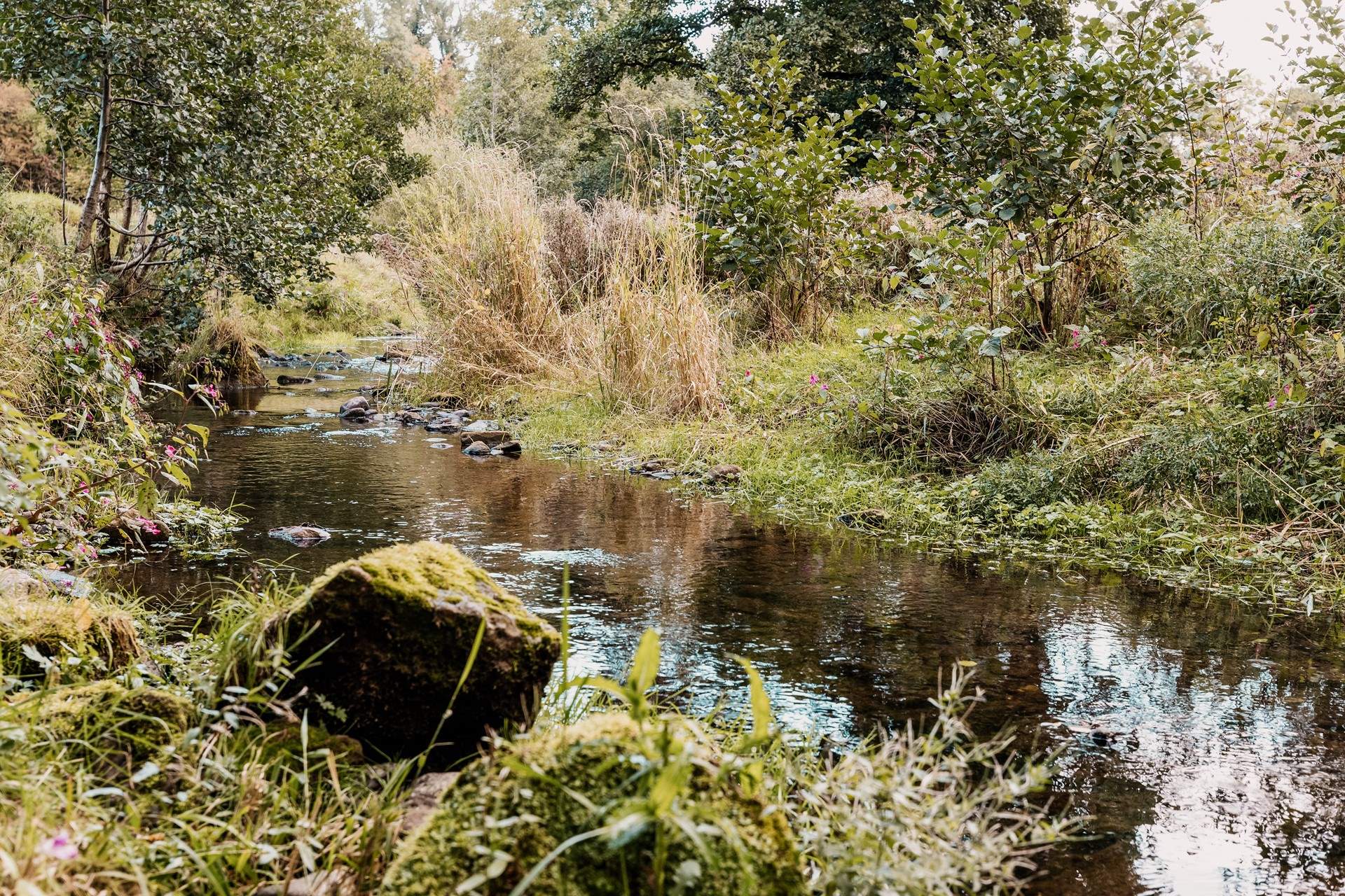 Everywhere you look, there is something beautiful to discover.