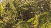 Hidden amongst the trees in a magical woodland.