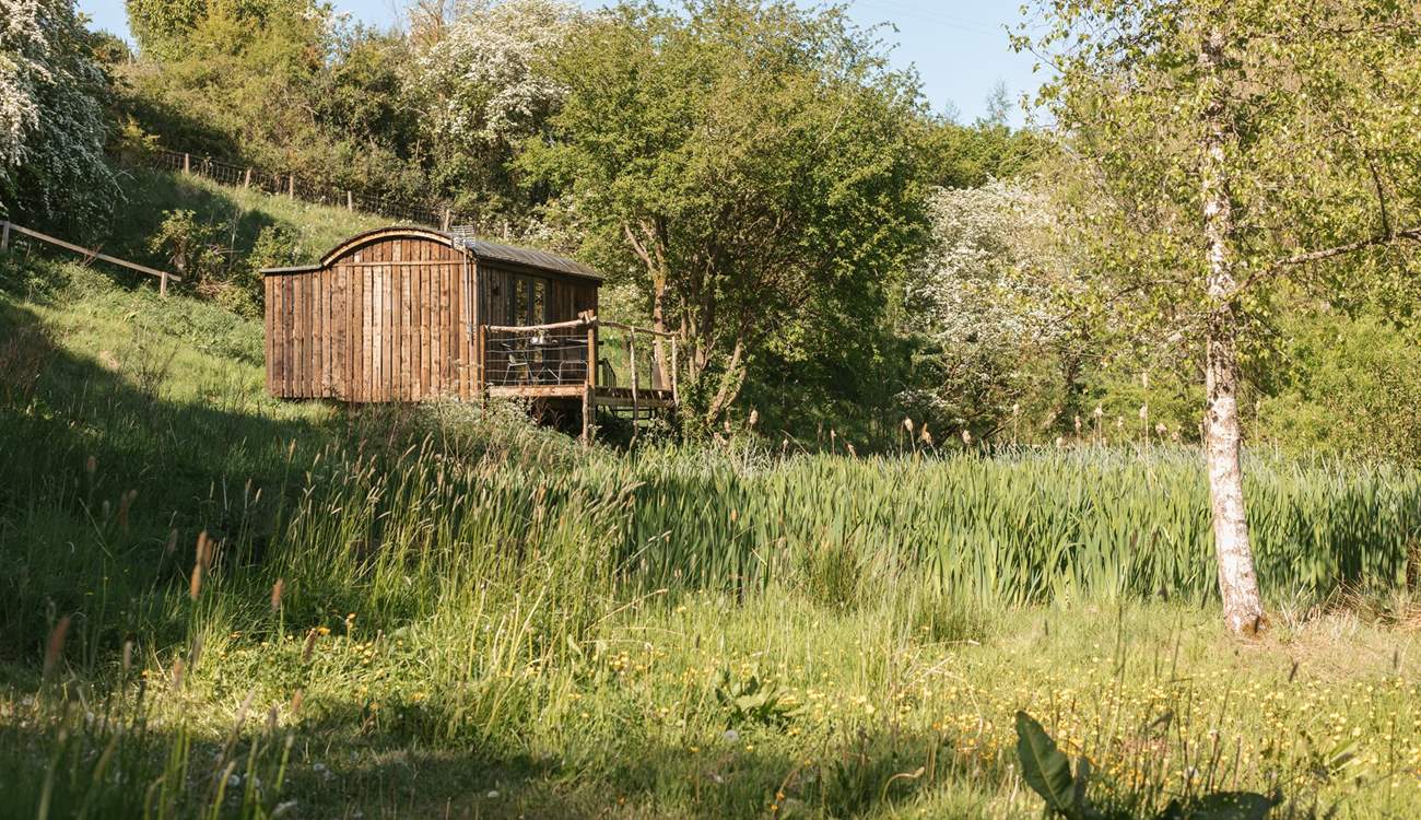 Perched in a meadow and surrounded by woodland, this is a nature lover's dream getaway. 