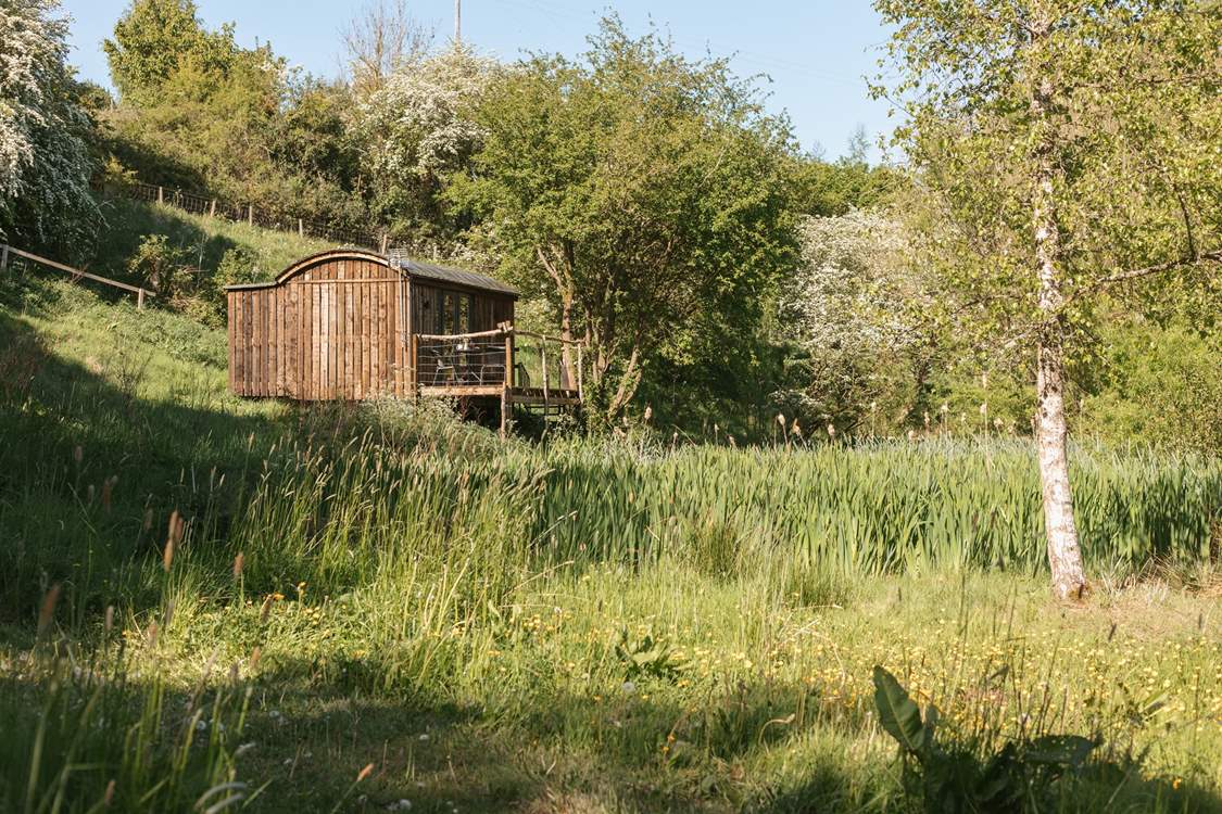 Perched in a meadow and surrounded by woodland, this is a nature lover's dream getaway.