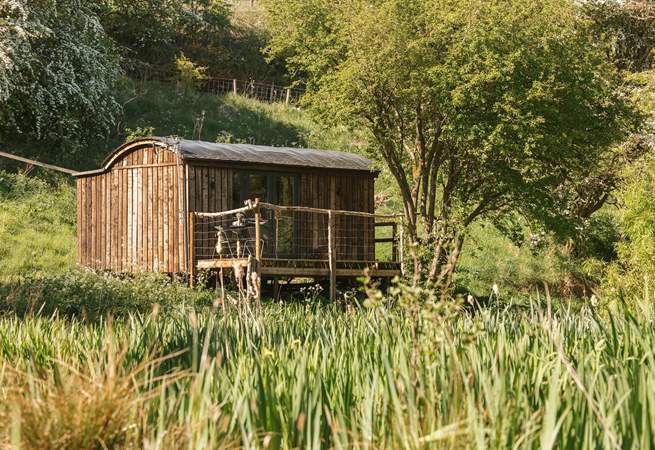 The Wrens Nest