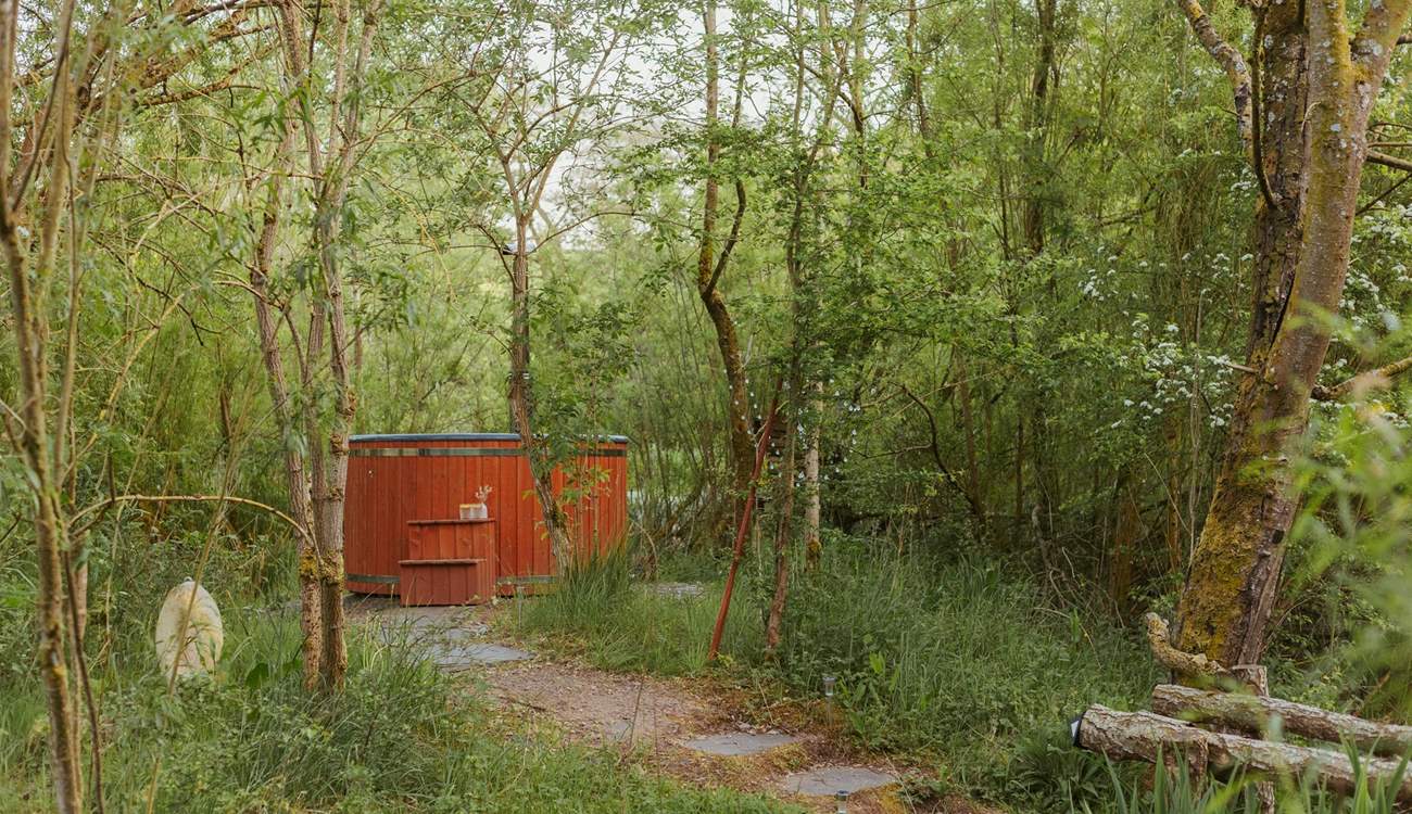 What a majestic setting. 