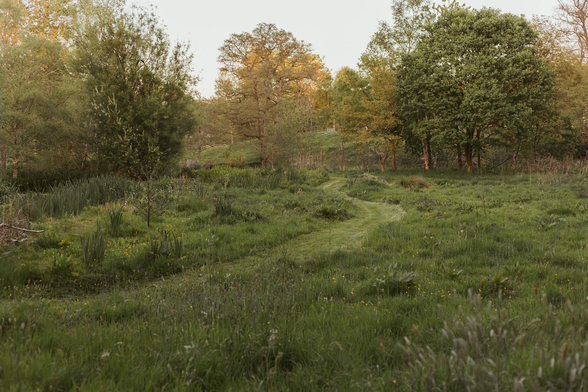 The cut paths in the meadow encourage exploration. 