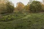 The cut paths in the meadow encourage exploration. 