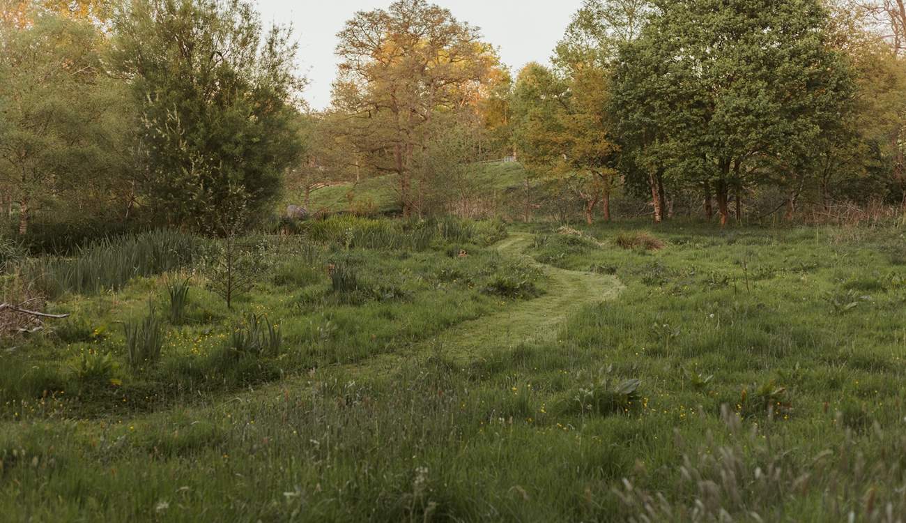 The cut paths in the meadow encourage exploration. 