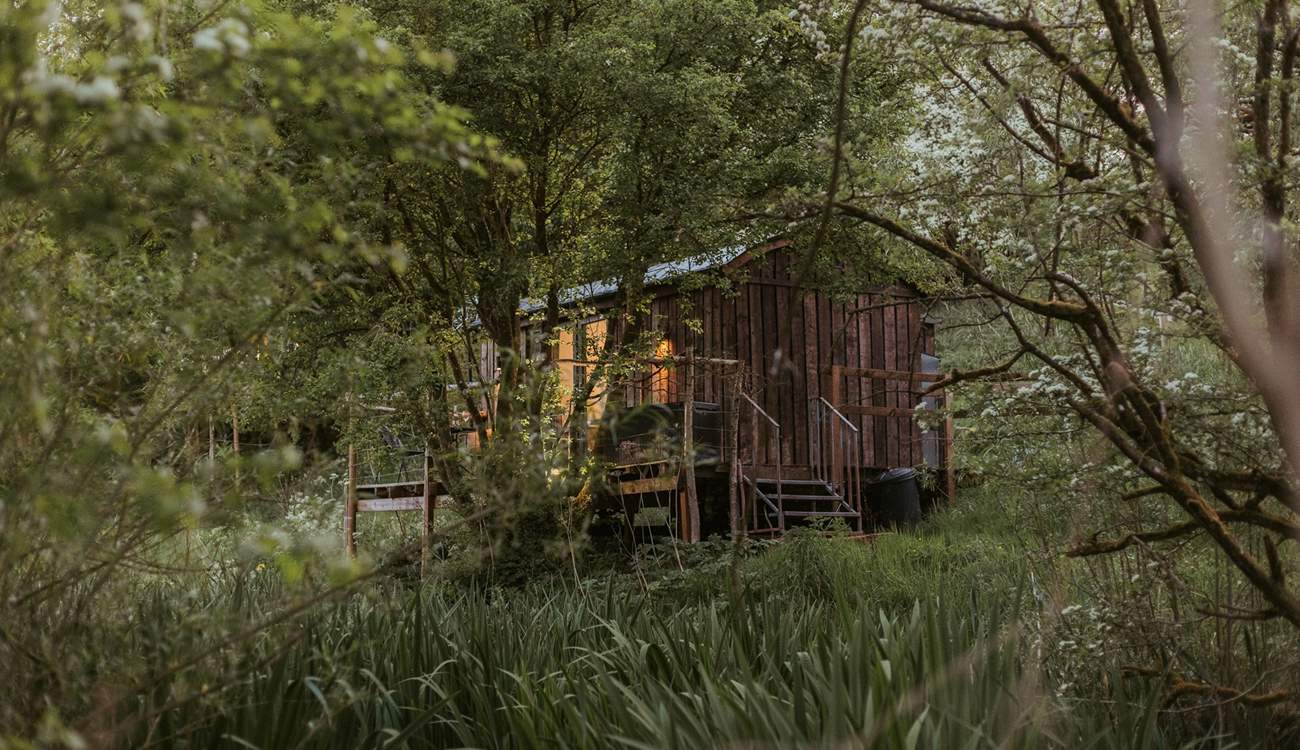 This bespoke cabin offers the perfect retreat from day-to-day life. 