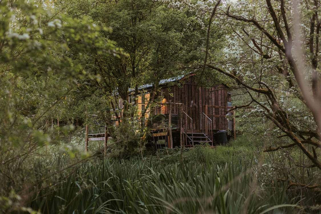This bespoke cabin offers the perfect retreat from day-to-day life.
